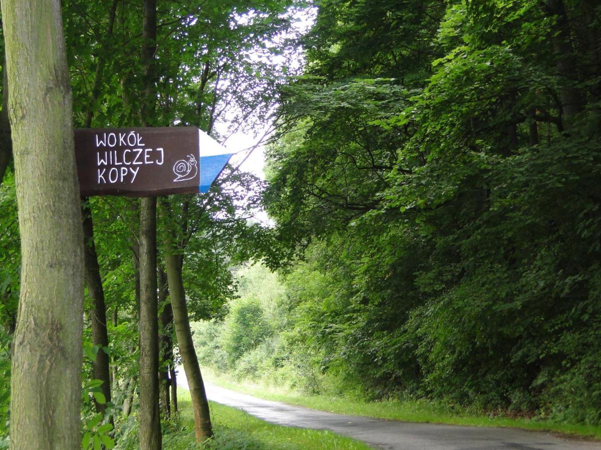 Romanowka Oldrzychowice Klodzkie Kültér fotó